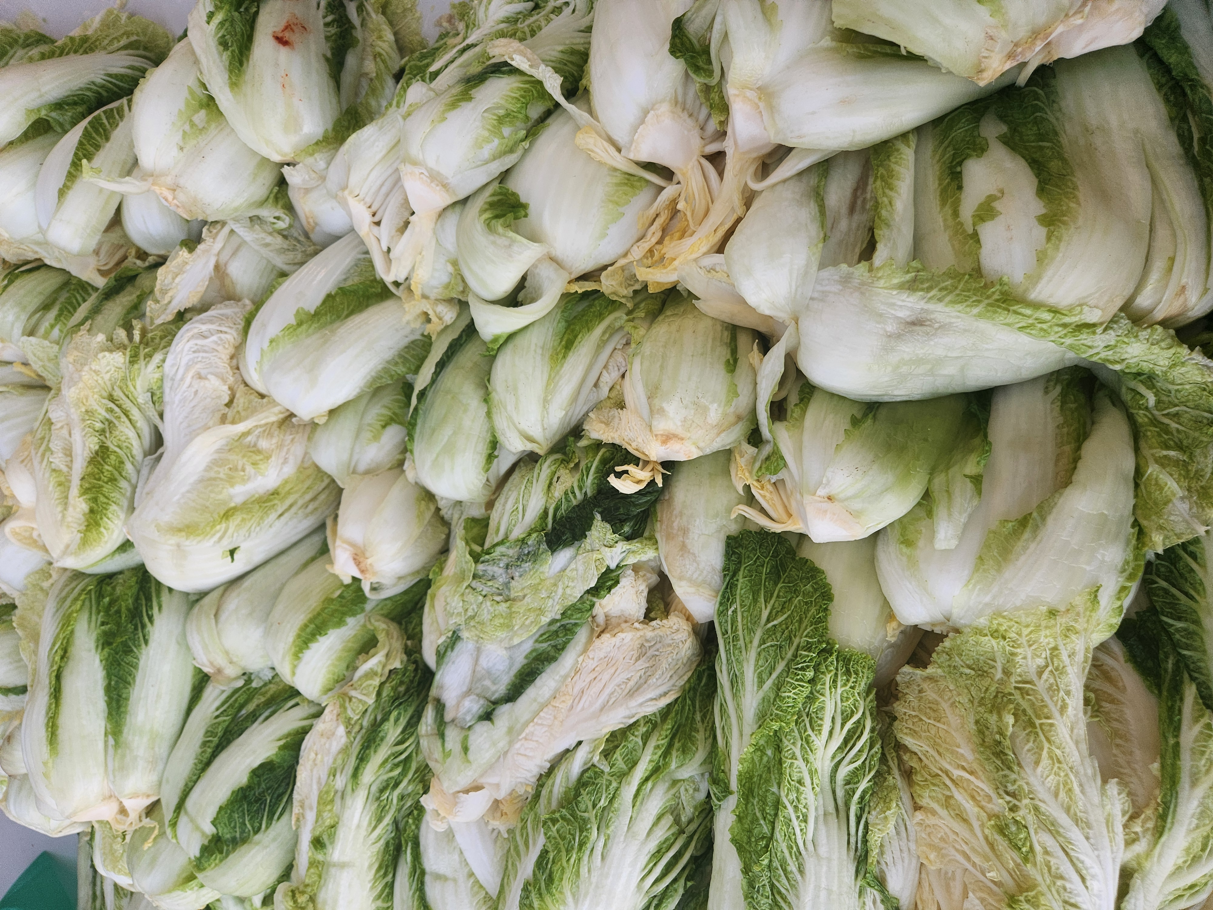 1769486655161 (1).jpg